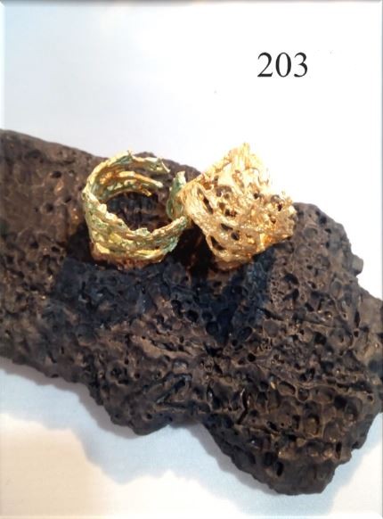 203-Σαπισμένο φύλλο φραγκόσυκου - Rotten prickly pear leaf