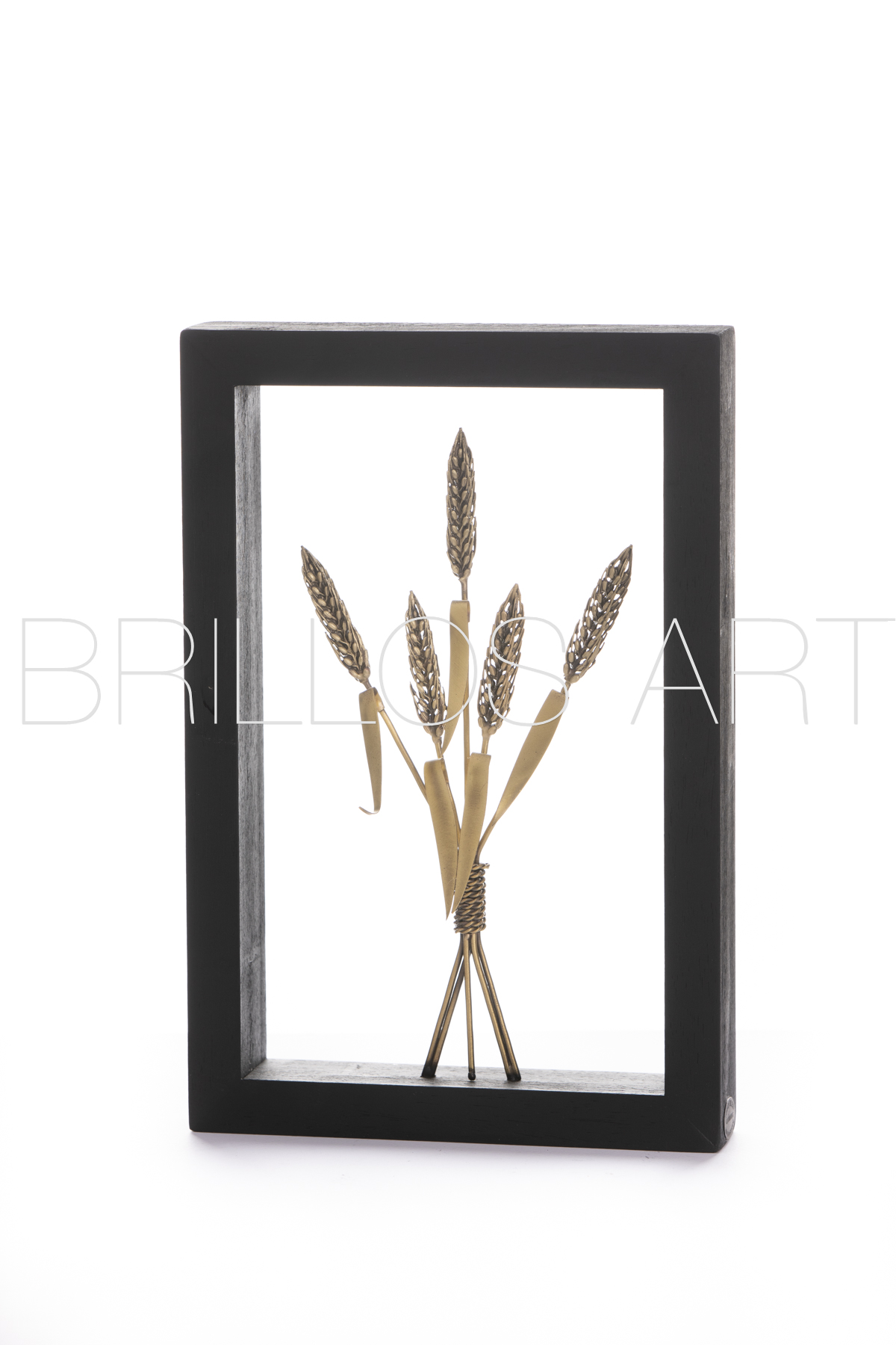 80 euros 20x30x4.5 (3)